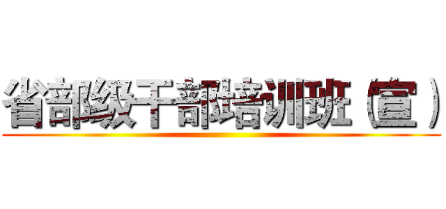 省部级干部培训班（宣） ()