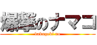 爆撃のナマコ (bakugeki no)