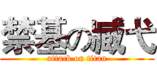 禁基の臧弋 (attack on titan)