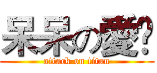 呆呆の愛🏅 (attack on titan)