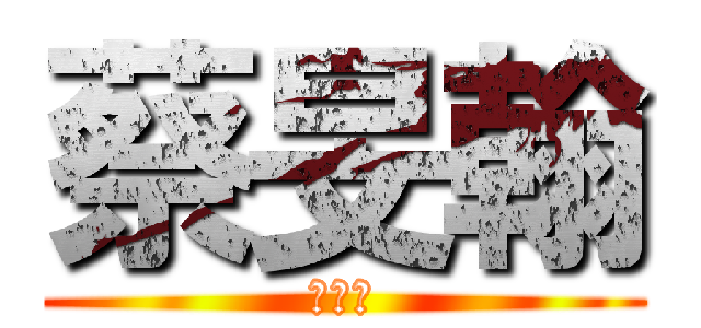 蔡旻翰 (大帥哥)