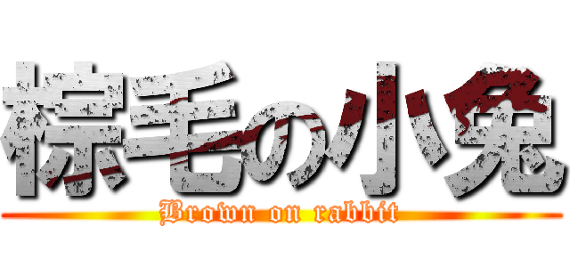 棕毛の小兔 (Brown on rabbit)