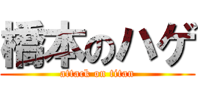 橋本のハゲ (attack on titan)