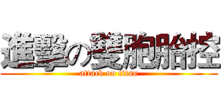 進擊の雙胞胎控 (attack on titan)