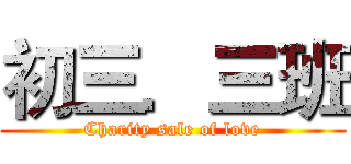 初三．三班 (Charity sale of love)