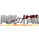 陶寶の作戰 (Riddle City)