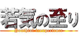 若気の至り (Youthful inexperience)