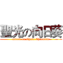 聖光の向日葵 (attack on Chain Chronicle)