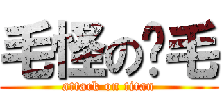 毛怪の屌毛 (attack on titan)