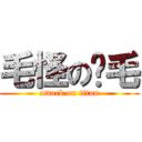 毛怪の屌毛 (attack on titan)