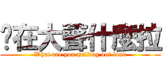 你在大聲什麼拉 (What are you pulling out loud)