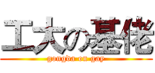 工大の基佬 (gongda on gay)