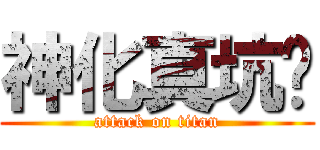 神化真坑爹 (attack on titan)