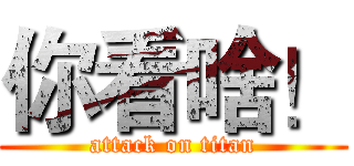 你看啥！ (attack on titan)