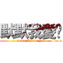 默默我愛你 (momo I love you)