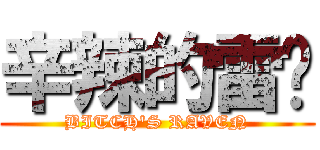 辛辣的雷玟 (BITCH\'S RAVEN)