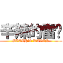 辛辣的雷玟 (BITCH\'S RAVEN)