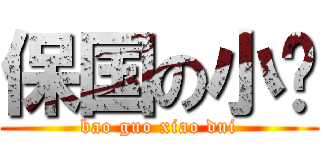 保国の小队 (bao guo xiao dui)