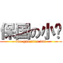 保国の小队 (bao guo xiao dui)