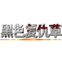 黑色复仇草 (苏芷玉，你的死期到了)