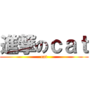 進撃のｃａｔ (cat)
