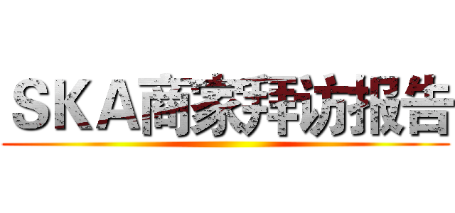 ＳＫＡ商家拜访报告 ()