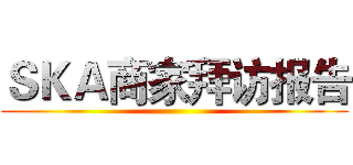 ＳＫＡ商家拜访报告 ()