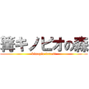 篝キノピオの森 (kinopio forest)