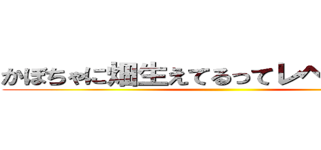 かぼちゃに畑生えてるってレベルだねこれ ()