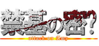 禁基の密尔 (attack on Amy)