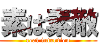 素は素敵 (real intention)