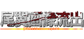 尾翼画像流出 (JAL123 intercepted?)