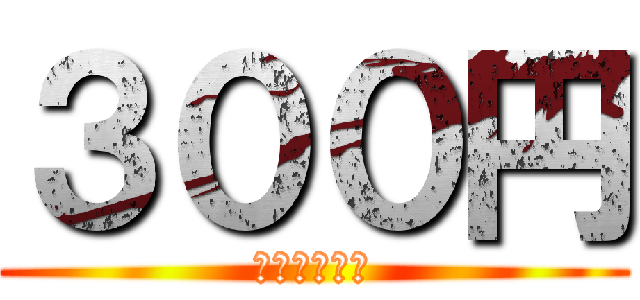 ３００円 (めっちゃ安い)