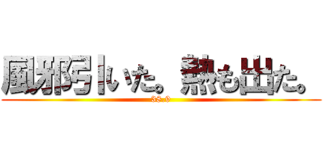 風邪引いた。熱も出た。 (38.9)