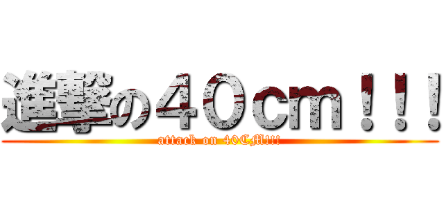 進撃の４０ｃｍ！！！ (attack on 40CM!!!)