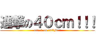 進撃の４０ｃｍ！！！ (attack on 40CM!!!)