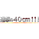 進撃の４０ｃｍ！！！ (attack on 40CM!!!)