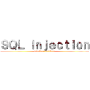 ＳＱＬ Ｉｎｊｅｃｔｉｏｎ (attack on database)