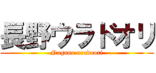 長野ウラドオリ (Nagano uradoori)