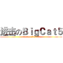 进击のＢｉｇＣａｔ５ (attack on BigCat5)