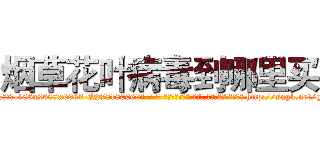烟草花叶病毒到哪里买 (烟草花叶病毒到哪里买【电-186x2687x6963-Q278180069元-吉-药-业】我们做的是长期生意,靠的是老客户长期支持 http://sngk.net/ghjHe0
)