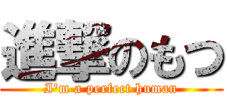 進撃のもつ (I'm a perfect human)