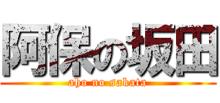 阿保の坂田 (aho no sakata)