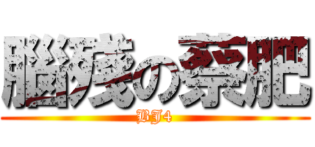 腦殘の蔡肥 (BJ4)