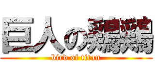 巨人の鶏鶏 (bird of titan)