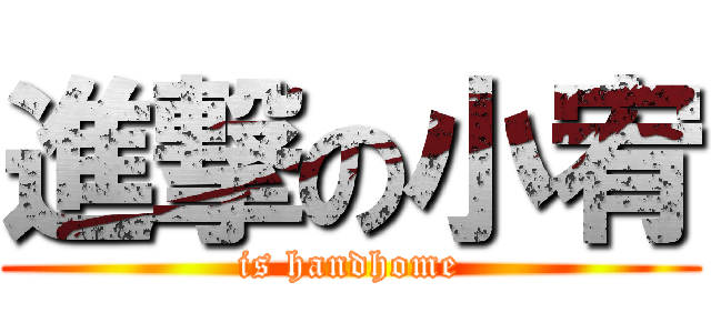 進撃の小宥 (is handhome)