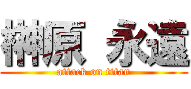 榊原 永遠 (attack on titan)