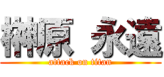 榊原 永遠 (attack on titan)