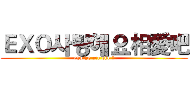 ＥＸＯ사랑해요相愛吧 (exo we are one !)