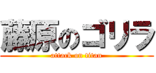 藤原のゴリラ (attack on titan)